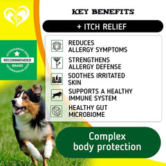 Dog Anti Itch Allergy Relief Chews Dry Itchy Skin Hot Spot Treatment with Omega3