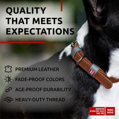Brown Long Lasting Leather Dog Collar for Small Dogs Adjustable 1114 in Neck